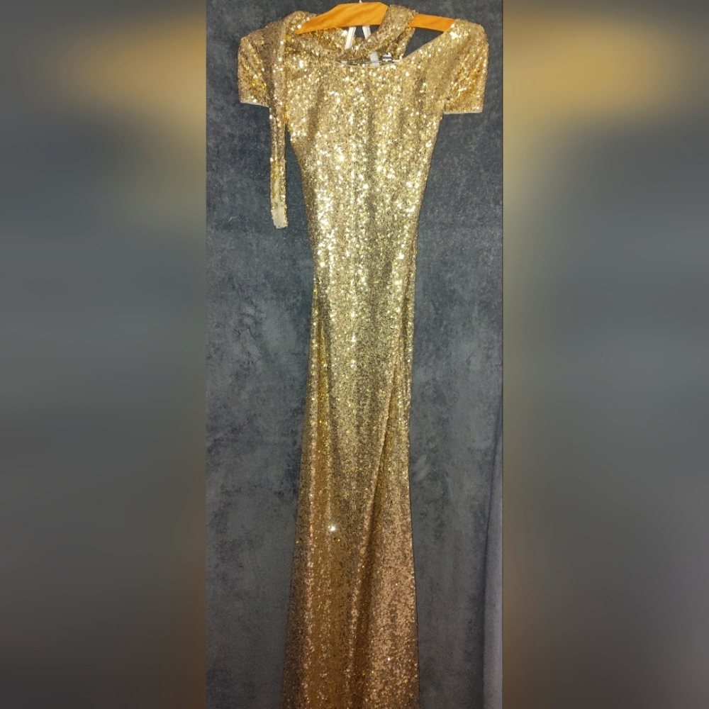 Revelry Sequence Dress